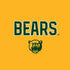 Baylor University Bears Nintendo 2DS XL (2017) Skin